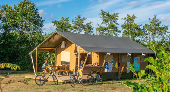 Nice campsite on the Frisian island Terschelling.